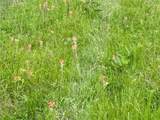 261 Catholic Cemetery Road - Photo 36