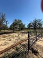 TBD Wild Hill Oak Drive - Photo 2