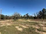 TBD Wild Hill Oak Drive - Photo 5