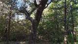 TBD 881-3 Tanglewood Trail - Photo 18