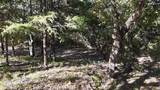 TBD 881-3 Tanglewood Trail - Photo 9