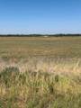 TBD Lot 24 County Road 497 - Photo 5