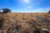 000 County Road 239 - Photo 11
