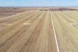 000 County Road 239 - Photo 29