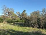 2714 County Road 147 - Photo 9