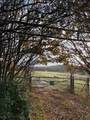 000 Rock Hill Road - Photo 5