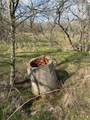 141 County Road 2349 - Photo 4