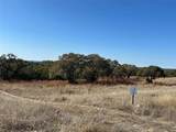 Lot 186 Blackbuck Ridge Drive - Photo 8