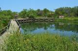 2243 Alyssum - Photo 9