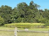 3610 Farm Road 195 Highway - Photo 4