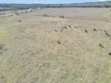 000 Cr 4915 Road - Photo 11