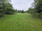 Lot 2 Sweetwater Trail - Photo 31