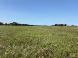 3883 Farm Road 71 - Photo 16