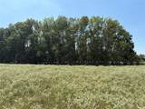 3883 Farm Road 71 - Photo 17