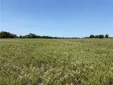 3883 Farm Road 71 - Photo 18