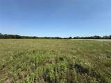 3883 Farm Road 71 - Photo 23