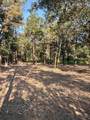 15396 Forest Grove Drive - Photo 4