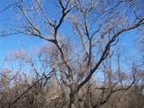 590 Pr 370 Road - Photo 11