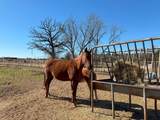 302 Vz County Road 4910 - Photo 18