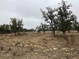 129 Big Buck Run Road - Photo 6