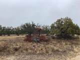 129 Big Buck Run Road - Photo 8