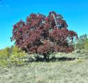 129 Big Buck Run Road - Photo 9