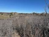 1620 Canyon Wren Loop - Photo 10