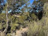 1620 Canyon Wren Loop - Photo 14