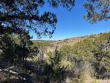 1620 Canyon Wren Loop - Photo 15