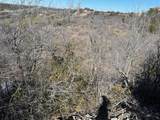 1620 Canyon Wren Loop - Photo 3