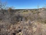 1620 Canyon Wren Loop - Photo 4