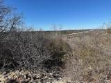 1620 Canyon Wren Loop - Photo 5