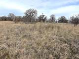 8.39 Acres Fm 174 - Photo 10