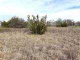 8.39 Acres Fm 174 - Photo 13
