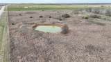 8.39 Acres Fm 174 - Photo 14