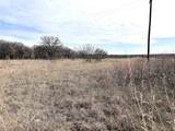 8.39 Acres Fm 174 - Photo 9