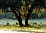 9051 Fm 205 - Photo 7