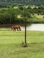 2473 County Road 199 - Photo 5