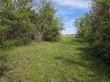 Lot 95 Stillwater Shores Drive - Photo 5