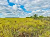TBD County Road 106 - Photo 12