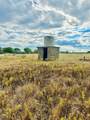 TBD County Road 106 - Photo 2