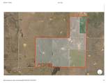 293 Acres Deer Creek Rd - Photo 22