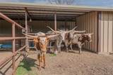 900 Silver Creek Azle Road - Photo 24