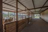 900 Silver Creek Azle Road - Photo 26