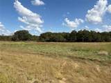 330 Rolling Ranch Boulevard - Photo 4