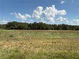 330 Rolling Ranch Boulevard - Photo 7
