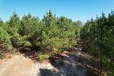 TBD-8 Hwy 271 - Photo 5