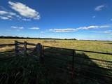 23 +/- Acres County Rd 4815 - Photo 4