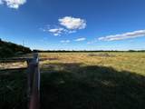 23 +/- Acres County Rd 4815 - Photo 5