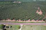 TBD-I Lincoln Springs Rd - Photo 6